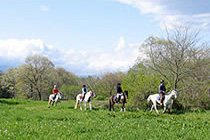 浅間クレールライディングサークル