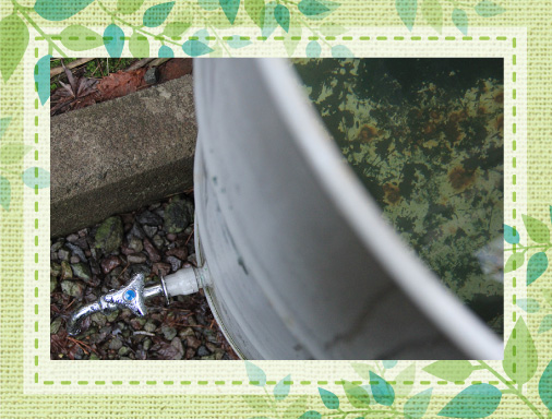 ドラム缶に雨水