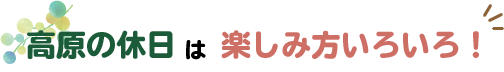 高原の休日は楽しみ方いろいろ！