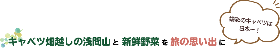キャベツ畑越しの浅間山と新鮮野菜を旅の思い出に
