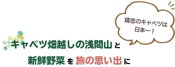 キャベツ畑越しの浅間山と新鮮野菜を旅の思い出に