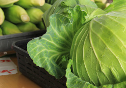 嬬恋高原ブルワリーで、新鮮野菜をおみやげに