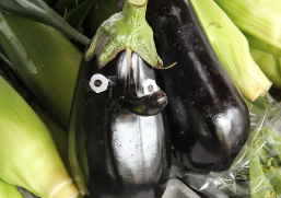 嬬恋高原ブルワリーで、新鮮野菜をおみやげに