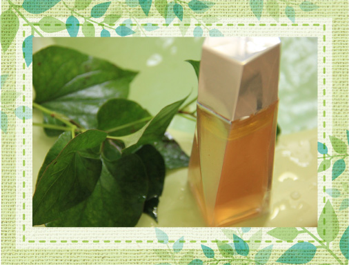 女性に嬉しい、天然ドクダミ化粧水