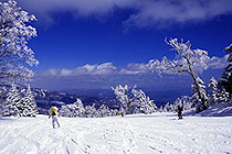 パルコールつま恋リゾート
