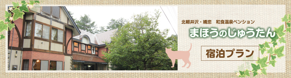 まほうのじゅうたん宿泊プラン