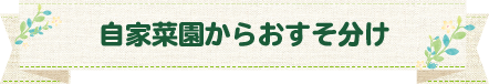 自家菜園からおすそ分け