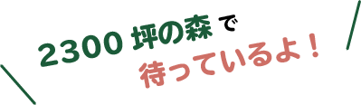 2300坪の森で待っているよ！