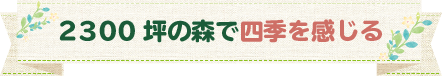 2300坪の森で四季を感じる
