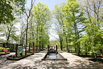 軽井沢タリアセン